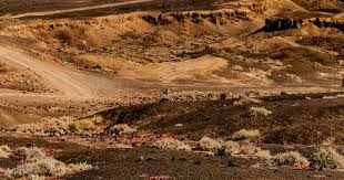 巴顿：李嗣镕一直很努力地训练，他的中超首秀应该是满分